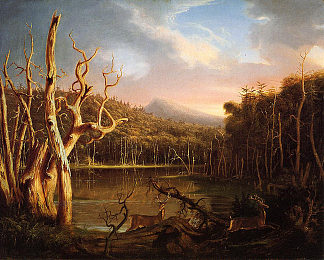 枯树湖（卡茨基尔） Lake with Dead Trees (Catskill) (1825)，托马斯·科尔