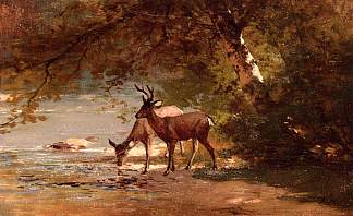 风景中的鹿 Deer in a Landscape，托马斯·希尔