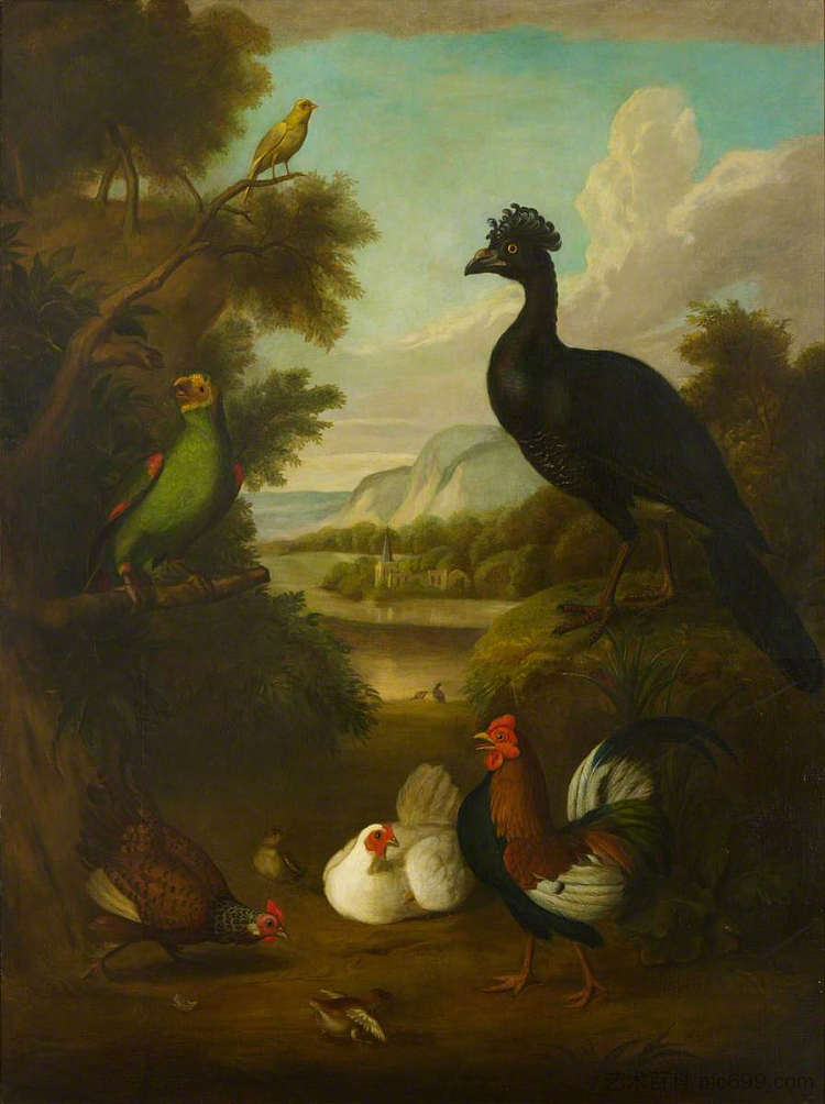 金丝雀，绿鹦鹉和其他鸟类在风景中 Canary, Green Parrot and Other Birds in a Landscape，托比亚斯·斯特兰诺弗