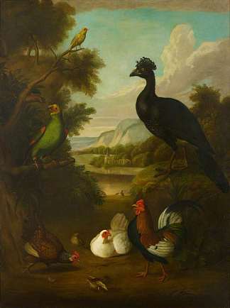 金丝雀，绿鹦鹉和其他鸟类在风景中 Canary, Green Parrot and Other Birds in a Landscape，托比亚斯·斯特兰诺弗