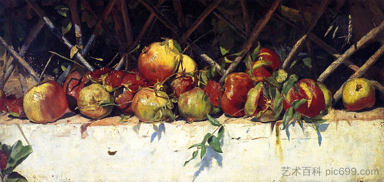 仍然与石榴一起 Still LIfe with Pomegranates (1883)，汤姆·罗伯茨