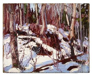 树林里的冬季解冻 Winter Thaw in the Woods (1917)，汤姆·汤姆森