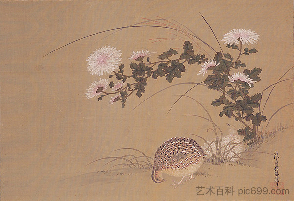 鹌鹑和菊花 Quail and Chrysanthemums，土佐光起