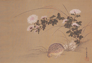 鹌鹑和菊花 Quail and Chrysanthemums，土佐光起