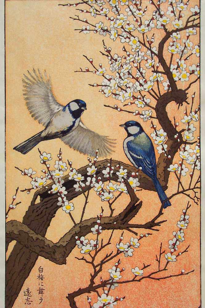 四季鸟 - 春季 Birds of the Seasons - Spring，吉田远志