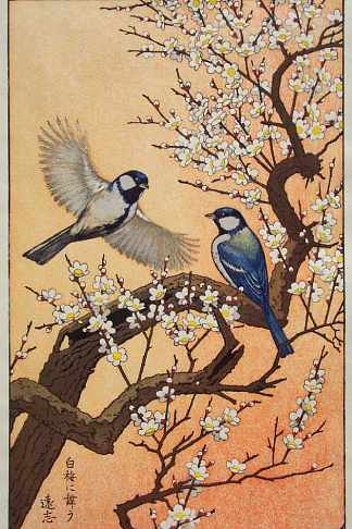四季鸟 – 春季 Birds of the Seasons – Spring，吉田远志
