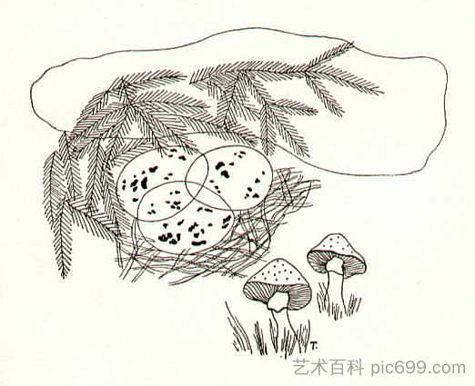 树枝上的巢 A Nest in the Branches，东延