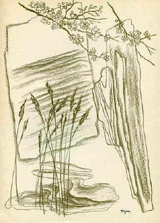 芦苇 The Reeds (1936)，东延