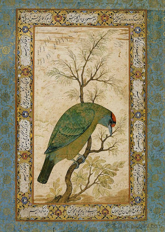 巴贝特（喜马拉雅蓝喉鸟） A Barbet (Himalayan blue-throated bird) (1615)，乌司达·万舍