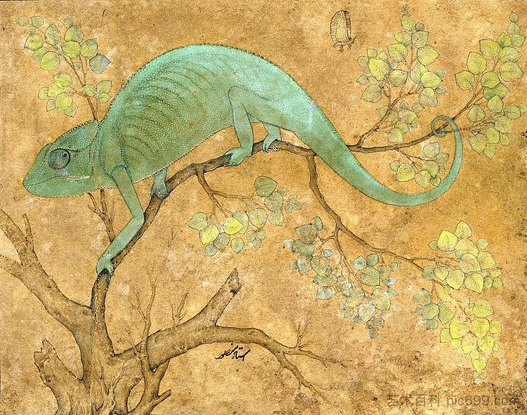 变色龙 A Chameleon (1612)，乌司达·万舍