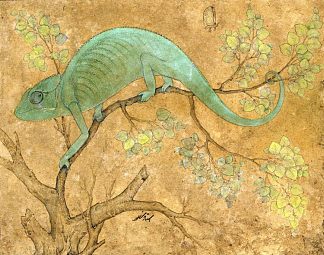 变色龙 A Chameleon (1612)，乌司达·万舍