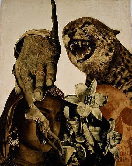 老虎和莉莉丝 Tiger and Lillies (1933)，瓦贾达拉霍斯