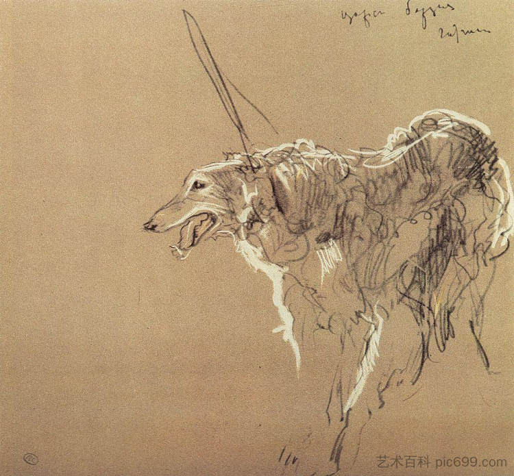 灰狗皇家狩猎 Greyhound royal hunting (1902)，瓦伦丁·谢罗夫