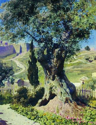 客西马尼园里的橄榄树 An Olive Tree in the Garden of Gethsemane (1882)，瓦西里波列诺夫