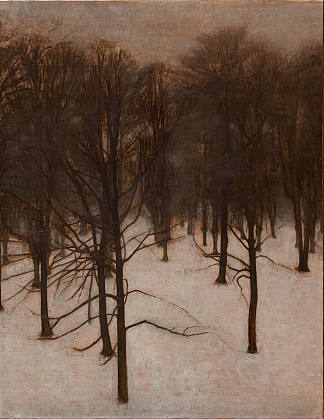 冬季的森德马肯公园 Søndermarken Park in winter (1896)，维尔姆·哈默肖伊