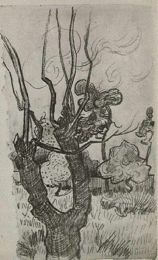 疯人院花园里光秃秃的树梢 A Bare Treetop in the Garden of the Asylum (1889; Saint-rémy-de-provence,France                     )，文森特·梵高