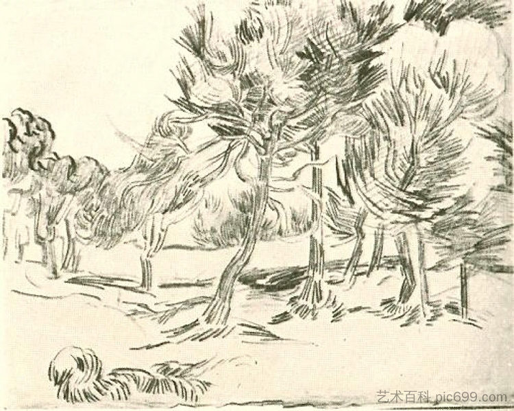 一群松树 A Group of Pine Trees (1889; Saint-rémy-de-provence,France  )，文森特·梵高