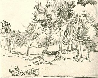 一群松树 A Group of Pine Trees (1889; Saint-rémy-de-provence,France                     )，文森特·梵高