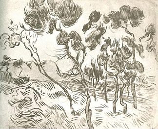 房子附近的一群松树 A Group of Pine Trees near a House (1889; Saint-rémy-de-provence,France                     )，文森特·梵高