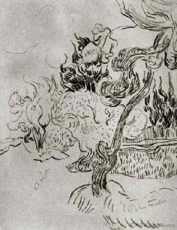 疯人院花园里的松树和柏树 A Pine Tree and Cypresses in the Garden of the Asylum (1889; Saint-rémy-de-provence,France  )，文森特·梵高