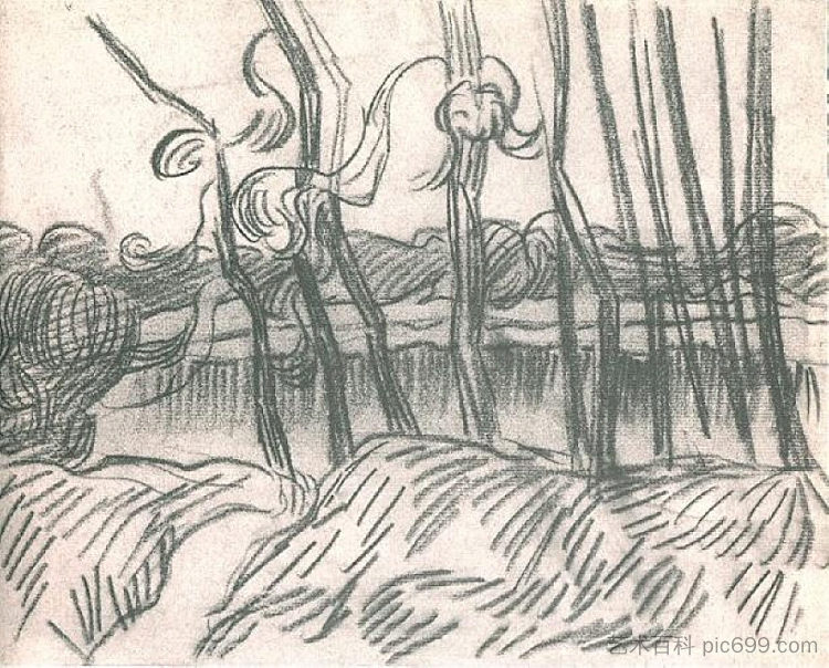 一排光秃秃的树 A Row of Bare Trees (1889; Saint-rémy-de-provence,France  )，文森特·梵高