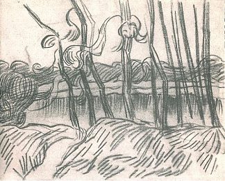 一排光秃秃的树 A Row of Bare Trees (1889; Saint-rémy-de-provence,France                     )，文森特·梵高