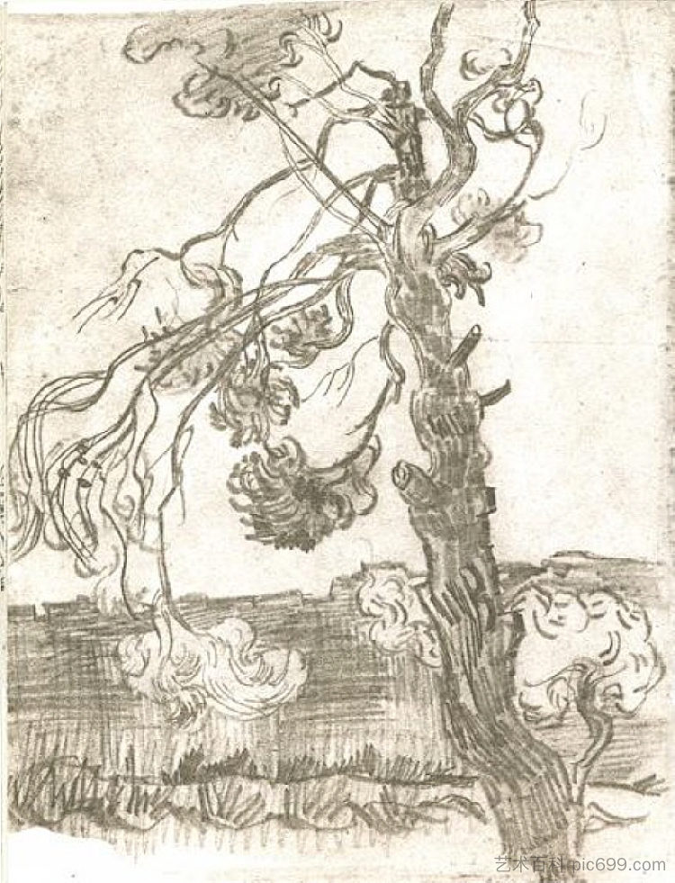 饱经风霜的松树 A Weather-Beaten Pine Tree (1889; Saint-rémy-de-provence,France  )，文森特·梵高