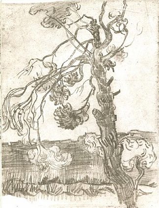 饱经风霜的松树 A Weather-Beaten Pine Tree (1889; Saint-rémy-de-provence,France                     )，文森特·梵高