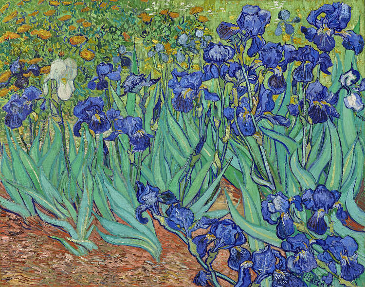 虹膜 Irises (1889; Saint-rémy-de-provence,France ),文森特·梵高