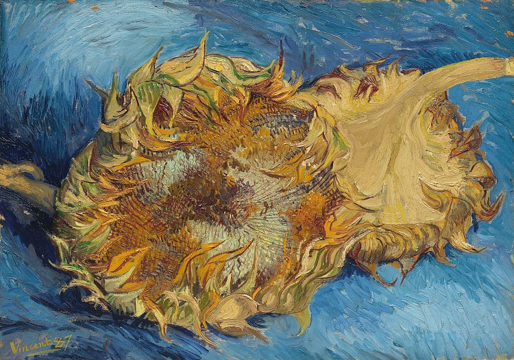 静物与两朵向日葵 Still Life with Two Sunflowers (1887; Paris,France  )，文森特·梵高