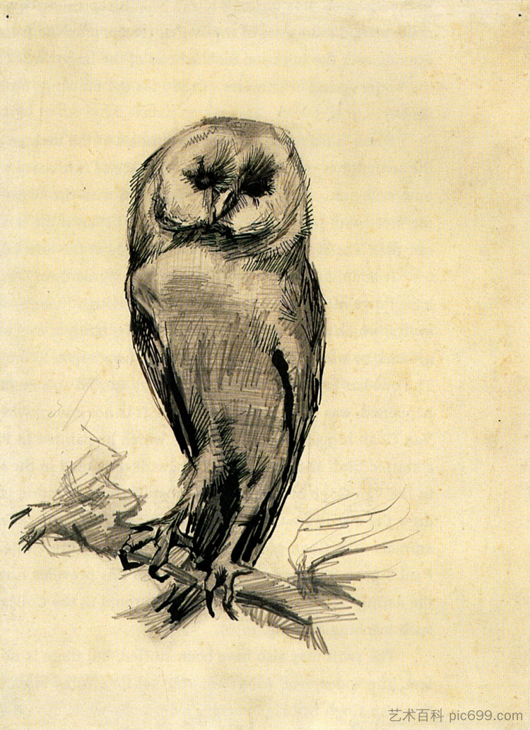 从正面看谷仓猫头鹰 Barn Owl Viewed from the Front (1887; Paris,France  )，文森特·梵高