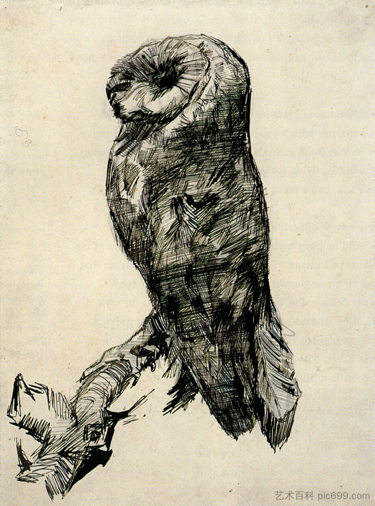 从侧面看谷仓猫头鹰 Barn Owl Viewed from the Side (1887; Paris,France  )，文森特·梵高