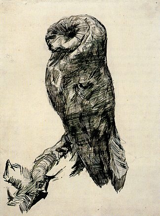 从侧面看谷仓猫头鹰 Barn Owl Viewed from the Side (1887; Paris,France                     )，文森特·梵高