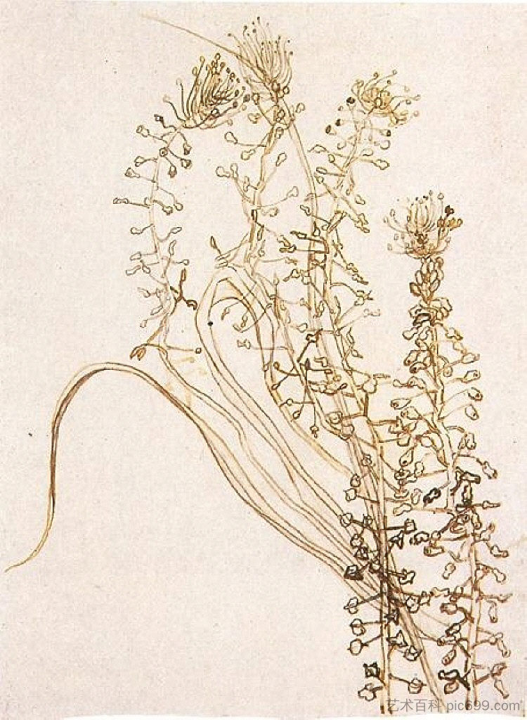 繁花似锦的枝条上 Blossoming Branches (1890)，文森特·梵高