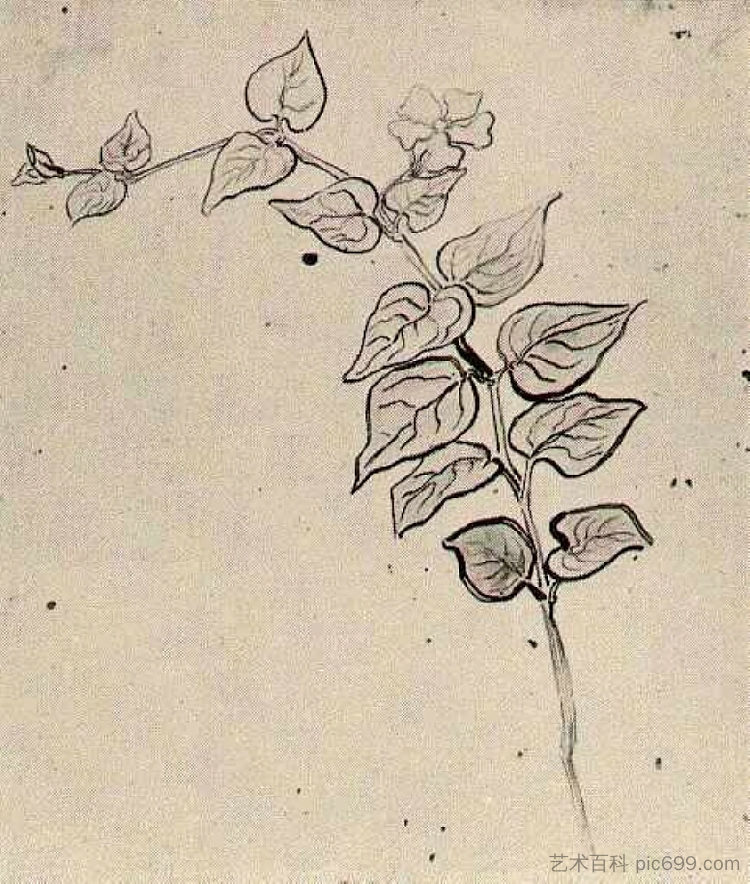 树枝与叶子 Branch with Leaves (1890)，文森特·梵高