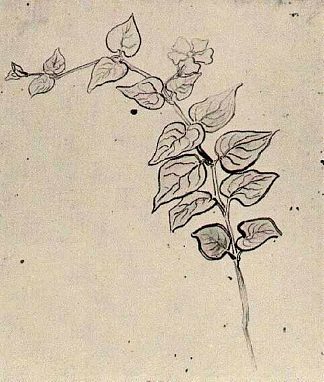 树枝与叶子 Branch with Leaves (1890)，文森特·梵高