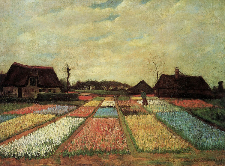 灯泡领域 Bulb Fields (1883; Haag / Den Haag / La Haye / The Hague,Netherlands  )，文森特·梵高