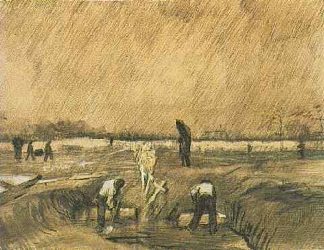 Churchyard in the Rain Churchyard in the Rain (1883; Nunen / Nuenen,Netherlands                     )，文森特·梵高