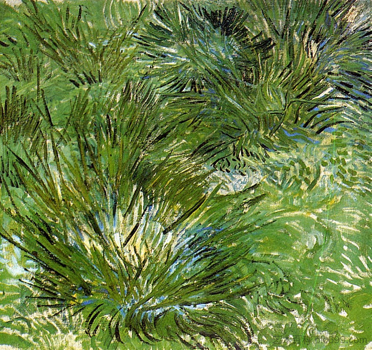 草丛 Clumps of Grass (1889; France  )，文森特·梵高