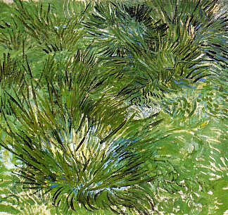 草丛 Clumps of Grass (1889; France                     )，文森特·梵高