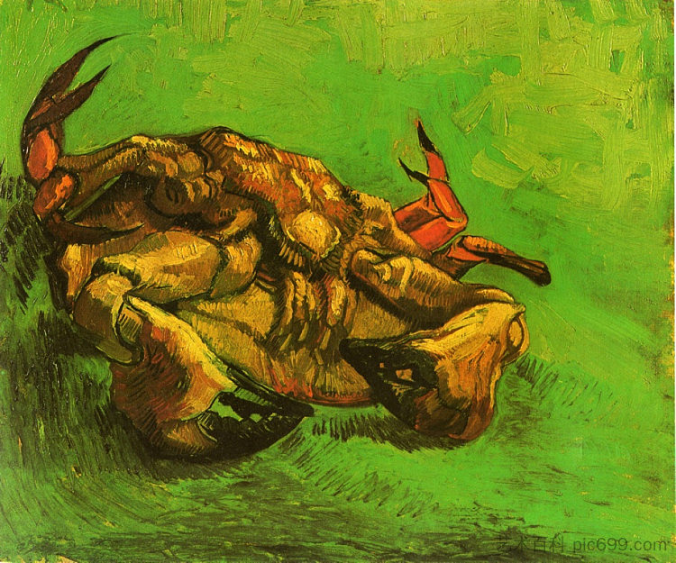 背上的螃蟹 Crab on It`s Back (1889; Arles,Bouches-du-Rhône,France  )，文森特·梵高