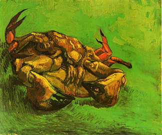 背上的螃蟹 Crab on It`s Back (1889; Arles,Bouches-du-Rhône,France                     )，文森特·梵高