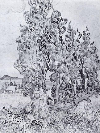 柏树 Cypresses (1889; Saint-rémy-de-provence,France                     )，文森特·梵高