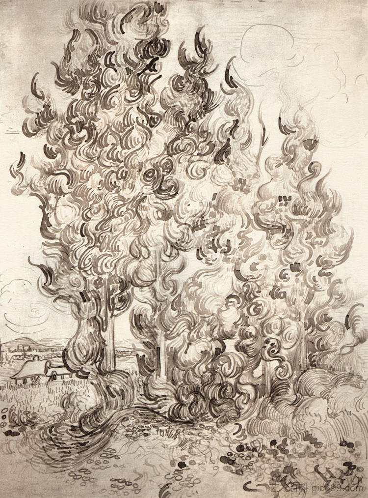 柏树 Cypresses (1889; Saint-rémy-de-provence,France  )，文森特·梵高