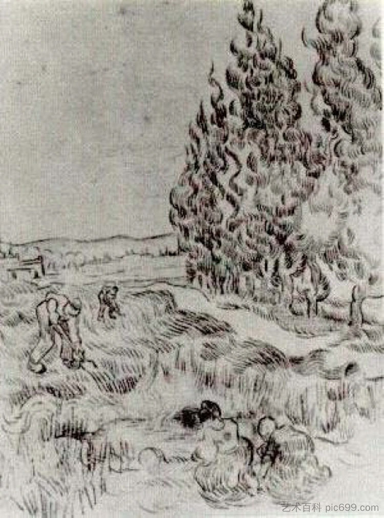 四人在田间工作的柏树 Cypresses with Four People Working in the Field (1890; Saint-rémy-de-provence,France  )，文森特·梵高