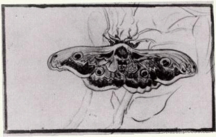 死亡头蛾 Death's Head Moth (1889; Arles,Bouches-du-Rhône,France  )，文森特·梵高