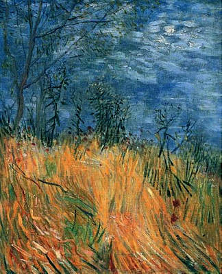 麦田边缘有罂粟花 Edge of a Wheatfield with Poppies (1887; Paris,France                     )，文森特·梵高