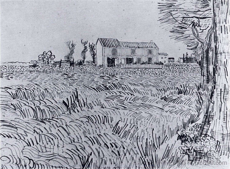 麦田里的农舍 Farmhouse in a Wheat Field (1888; Arles,Bouches-du-Rhône,France  )，文森特·梵高