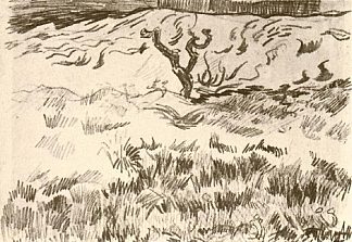 有光秃秃的树的田野 Field with Bare Tree (1889)，文森特·梵高