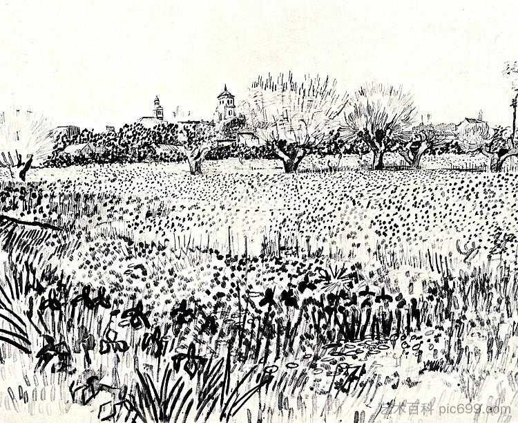 花田 Field with Flowers (1888; Arles,Bouches-du-Rhône,France  )，文森特·梵高